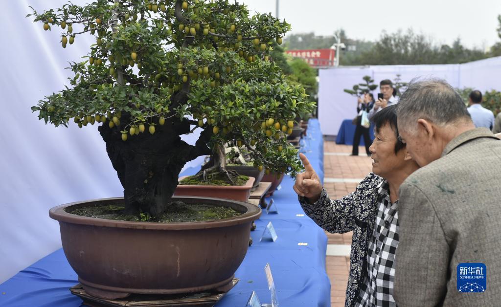 双扣扑克牌四人玩法